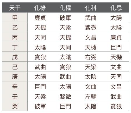 飛星 意思|自化，人生的漏洞？ 